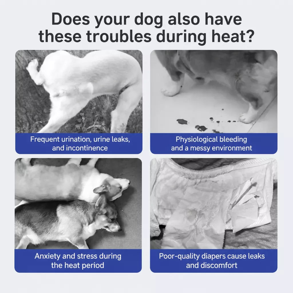 Disposable Dog Diapers for Male and Female Dogs
