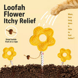 Cat Toy Collection with Natural Loofah and Catnip