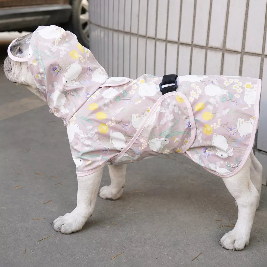Dog Raincoat for Rainy-Day Walks