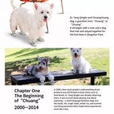 Dog Clog-Style Shoes for Outdoor Walks