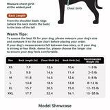 Waterproof Four-Leg Dog Raincoat