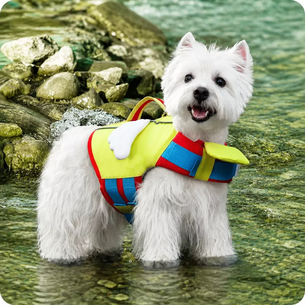Dog Life Jacket for Swimming and Outdoor Adventures