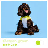 Lightweight Sleeveless Polyester Dog Vest