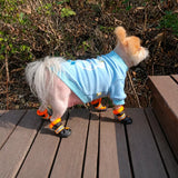 Mesh Dog Shoes with Soft Soles for Everyday Walks