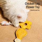 Cat Toy Collection with Natural Loofah and Catnip
