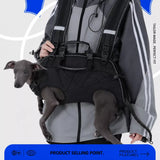 Pet Side-Carry Carrier for Dogs and Cats