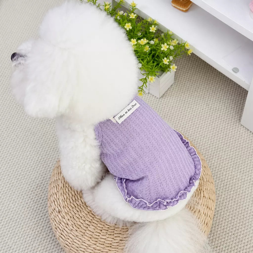 Pet Harness Vest for Small Dogs and Cats