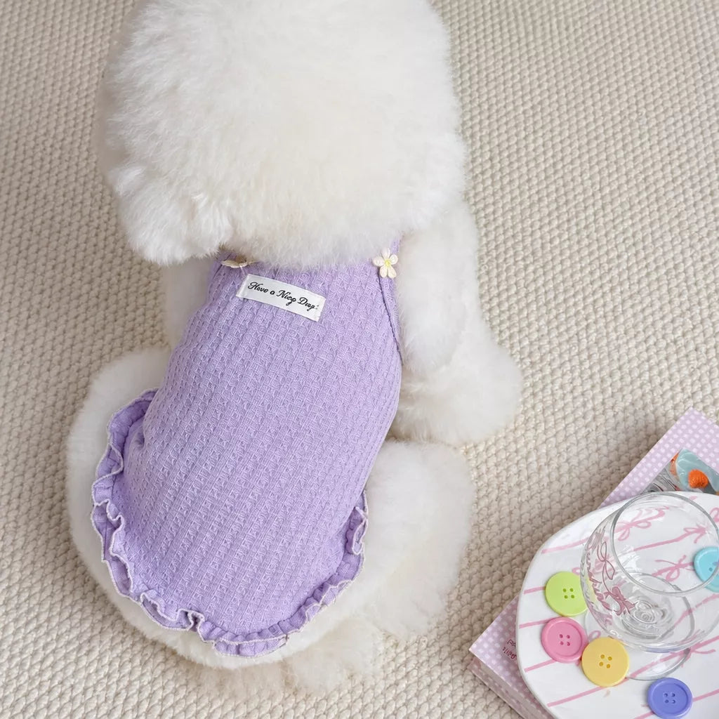 Pet Harness Vest for Small Dogs and Cats