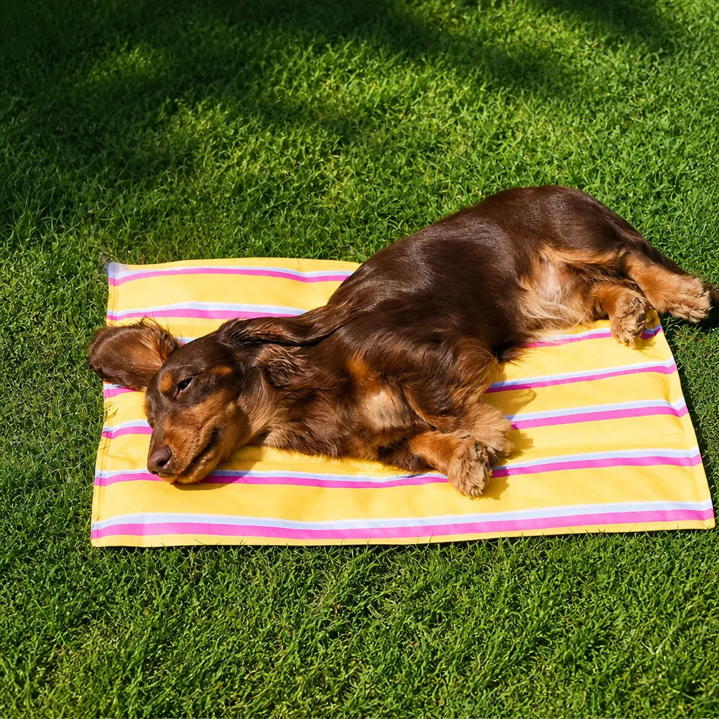 Striped Pet Mat for Dogs and Cats