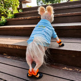 Mesh Dog Shoes with Soft Soles for Everyday Walks