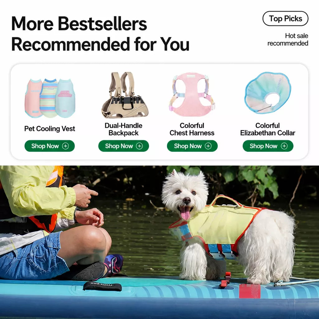 Dog Life Jacket for Swimming and Outdoor Adventures