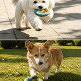 Knotted Polyester Rope Tug Toy for Dogs