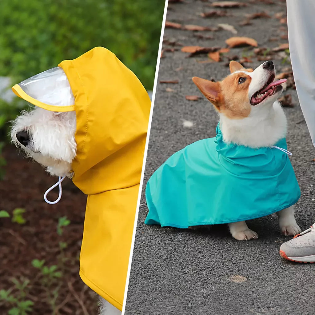 Dog Raincoat for Rainy-Day Walks