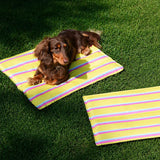 Striped Pet Mat for Dogs and Cats