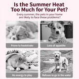 Dog Life Jacket for Swimming and Outdoor Adventures