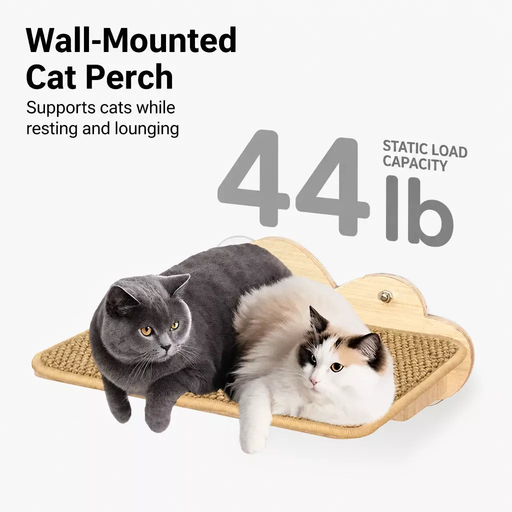 Window-Mounted Cat Perch with Space Pod