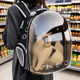 Transparent Pet Carrier Backpack for Cats and Small Dogs