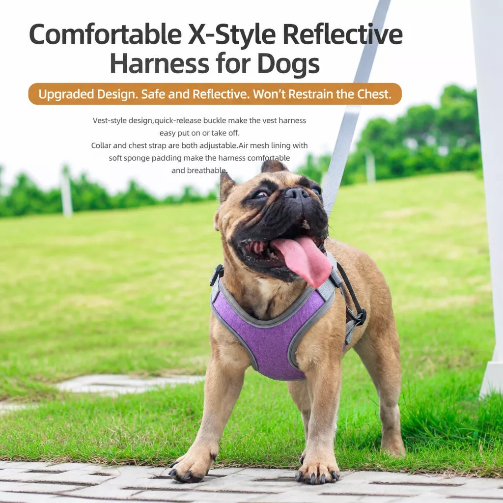 Dog Harness and Leash Set for Small to Medium Dogs