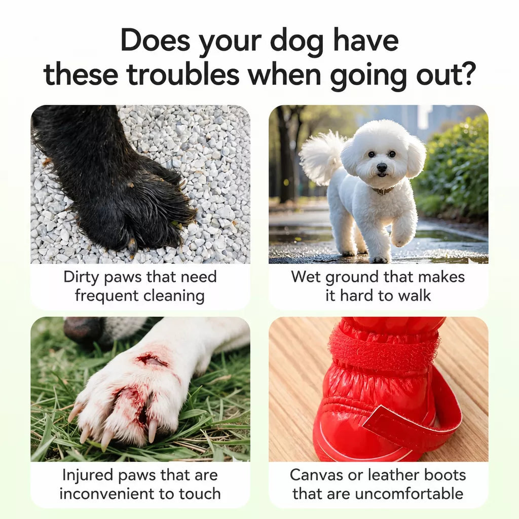Breathable Soft-Sole Dog Shoes for Outdoor Walks