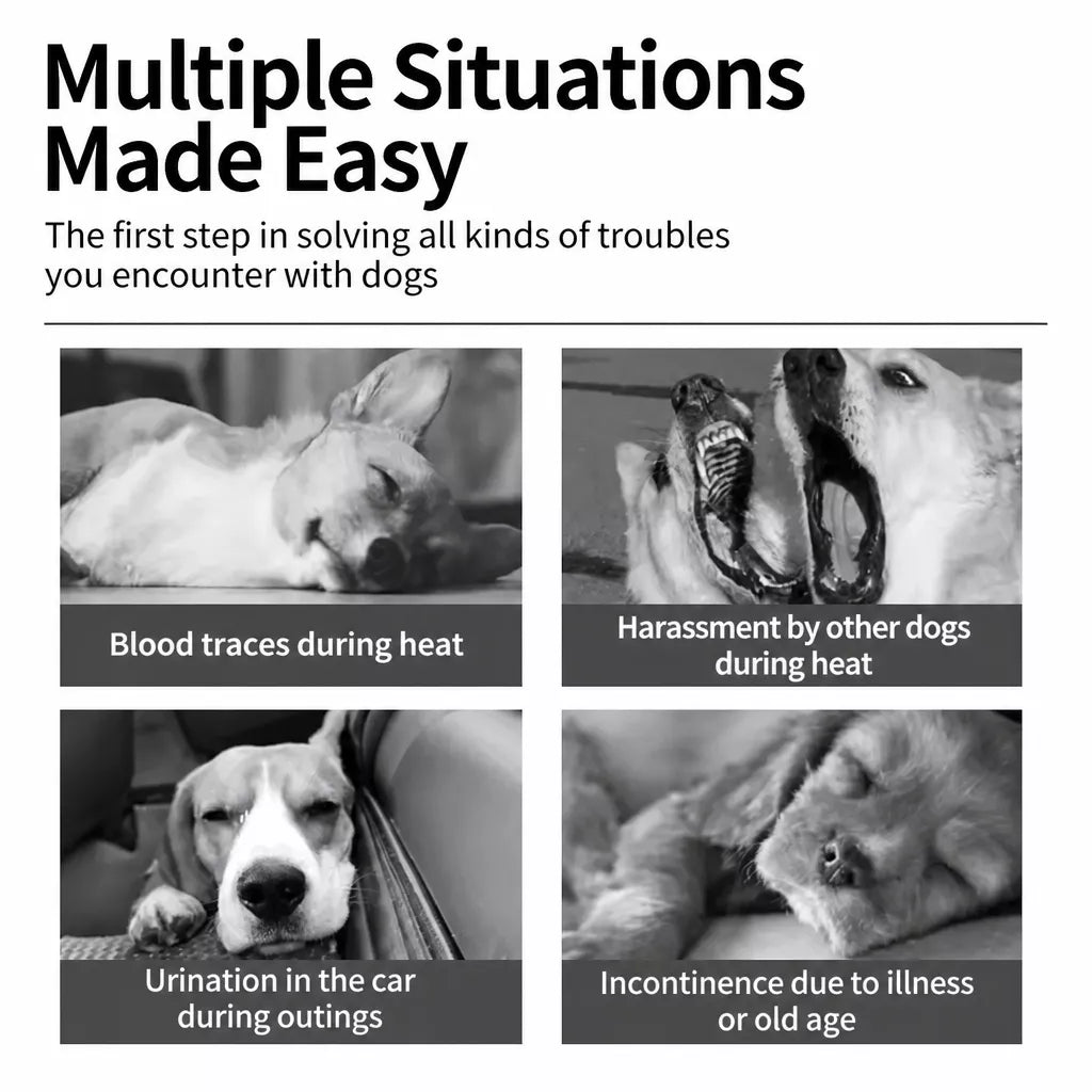 Disposable Dog Diapers for Male and Female Dogs