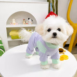 Lightweight Four-Leg Mesh Dog Shirt for Small & Medium Dogs