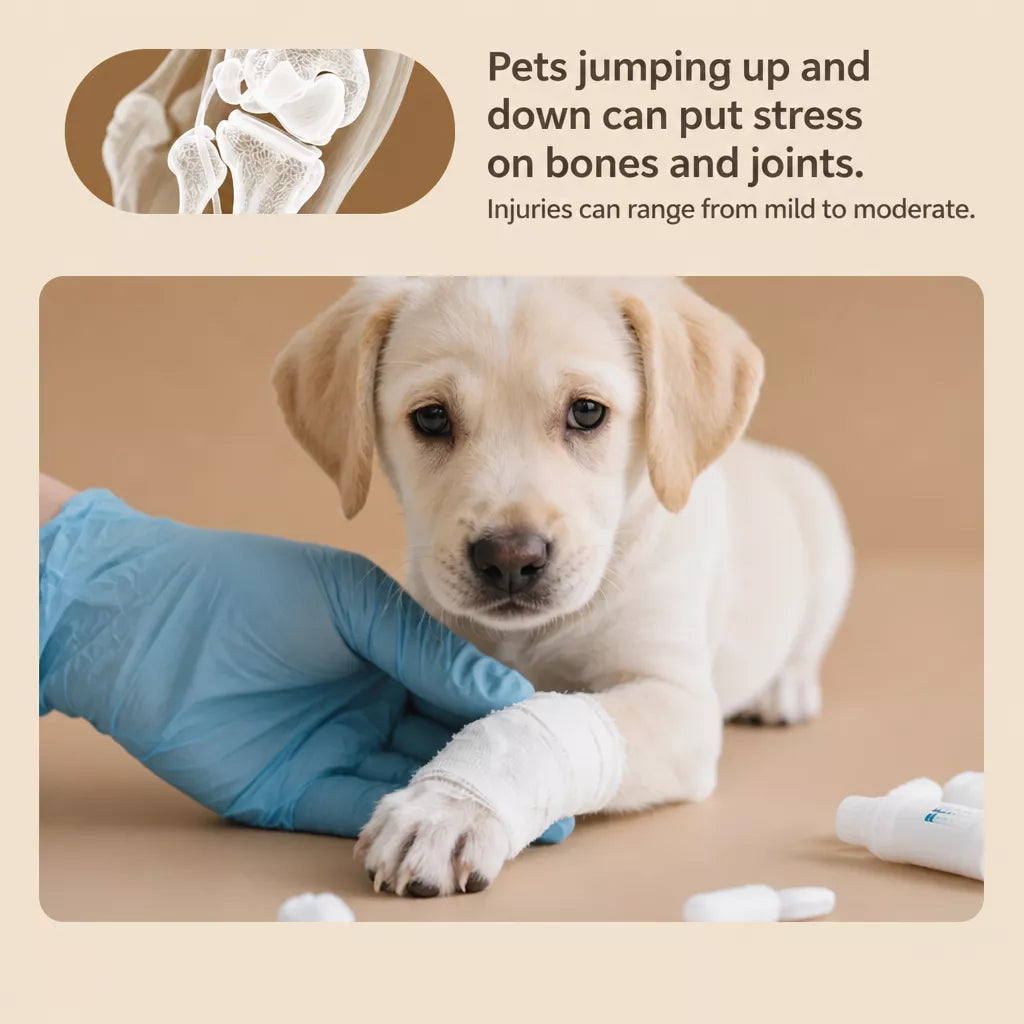 Pet Stairs for Small Dogs with Removable, Washable Design