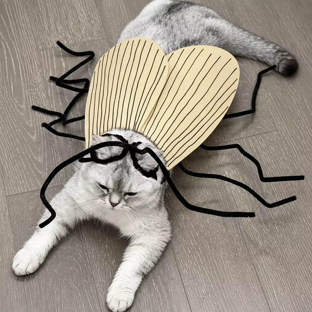 Cockroach-Inspired Cat Costume with Matching Collar