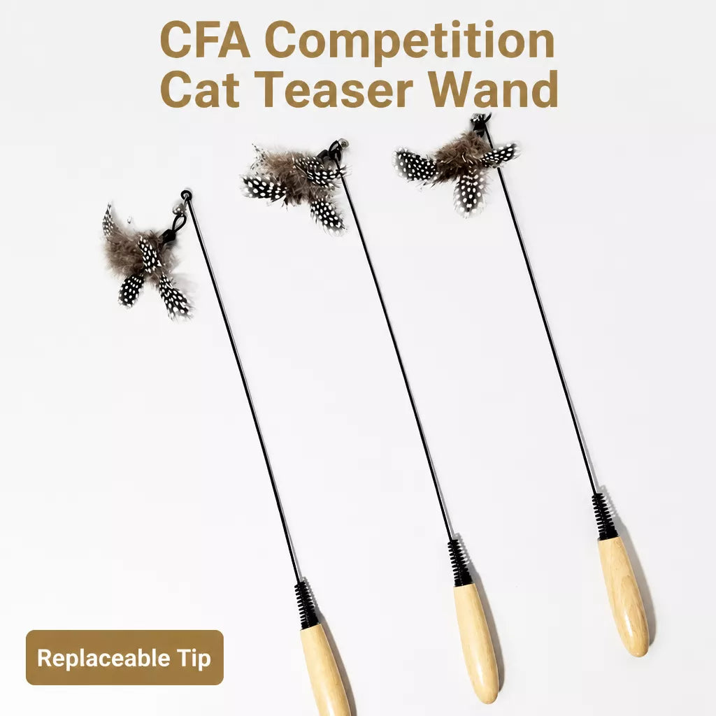 Detachable Feather Wand Cat Toy with Wooden Handle