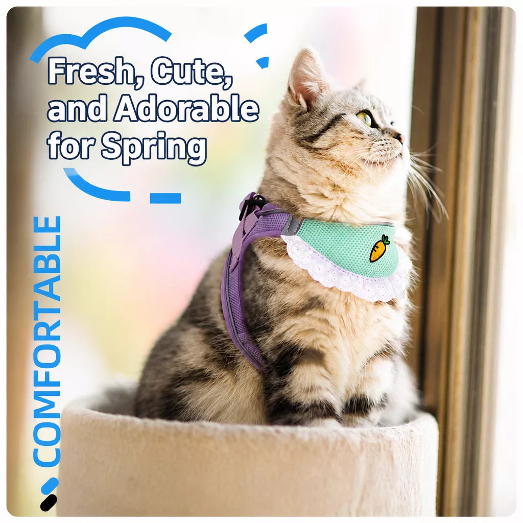 Nylon Dog & Cat Harness and Leash for Everyday Walks