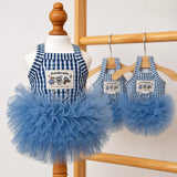 Blue Striped Mesh Dress for Dogs & Cats