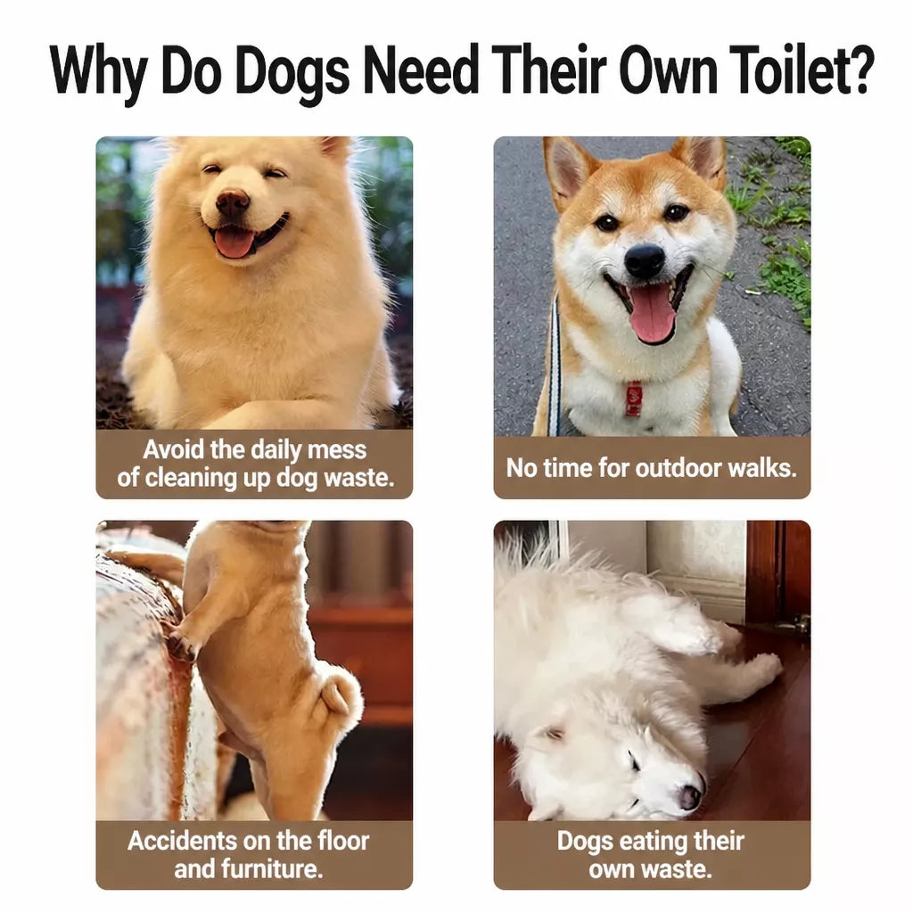 Plastic Dog Potty Training Tray