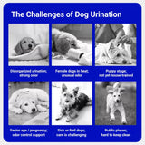 Dog Diapers for Male & Female Dogs