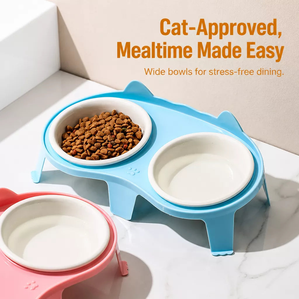 Elevated Double-Bowl Ceramic Cat Feeding Set