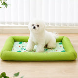 Washable Pet Bed for Dogs with Removable Cover