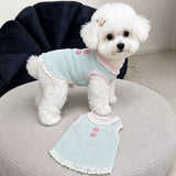 Pet Tank Tops and Strappy Dresses