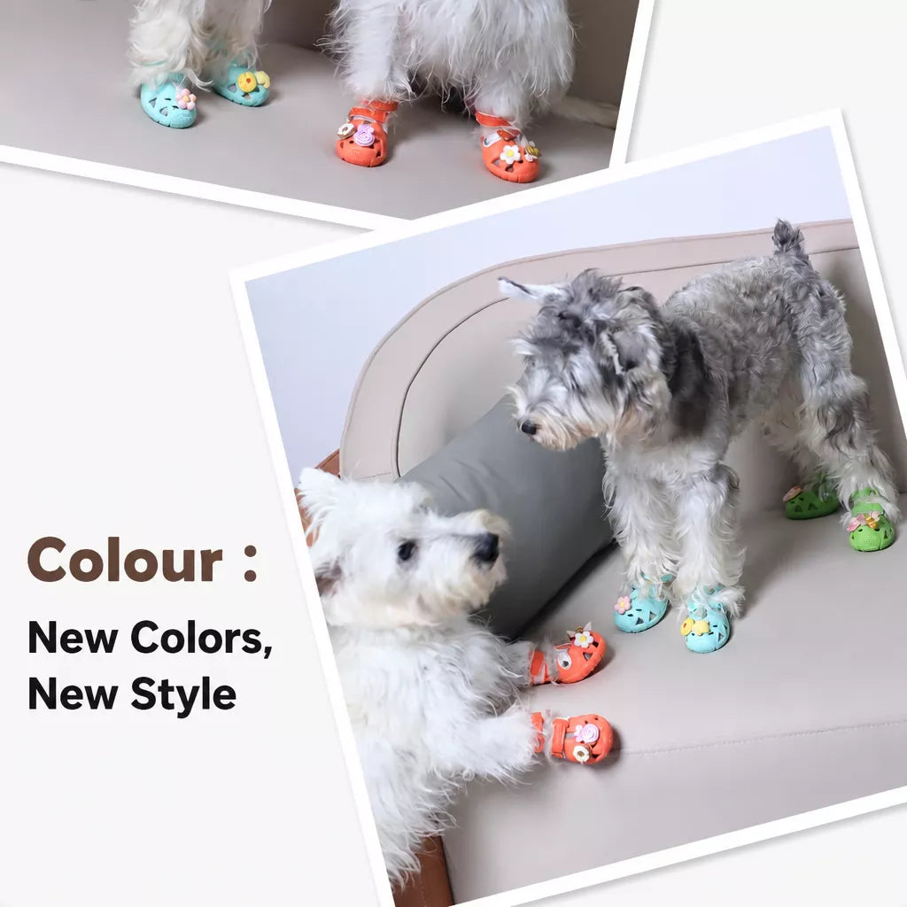 Dog Clog-Style Shoes for Outdoor Walks