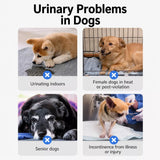 Disposable Dog Diapers for Male and Female Dogs