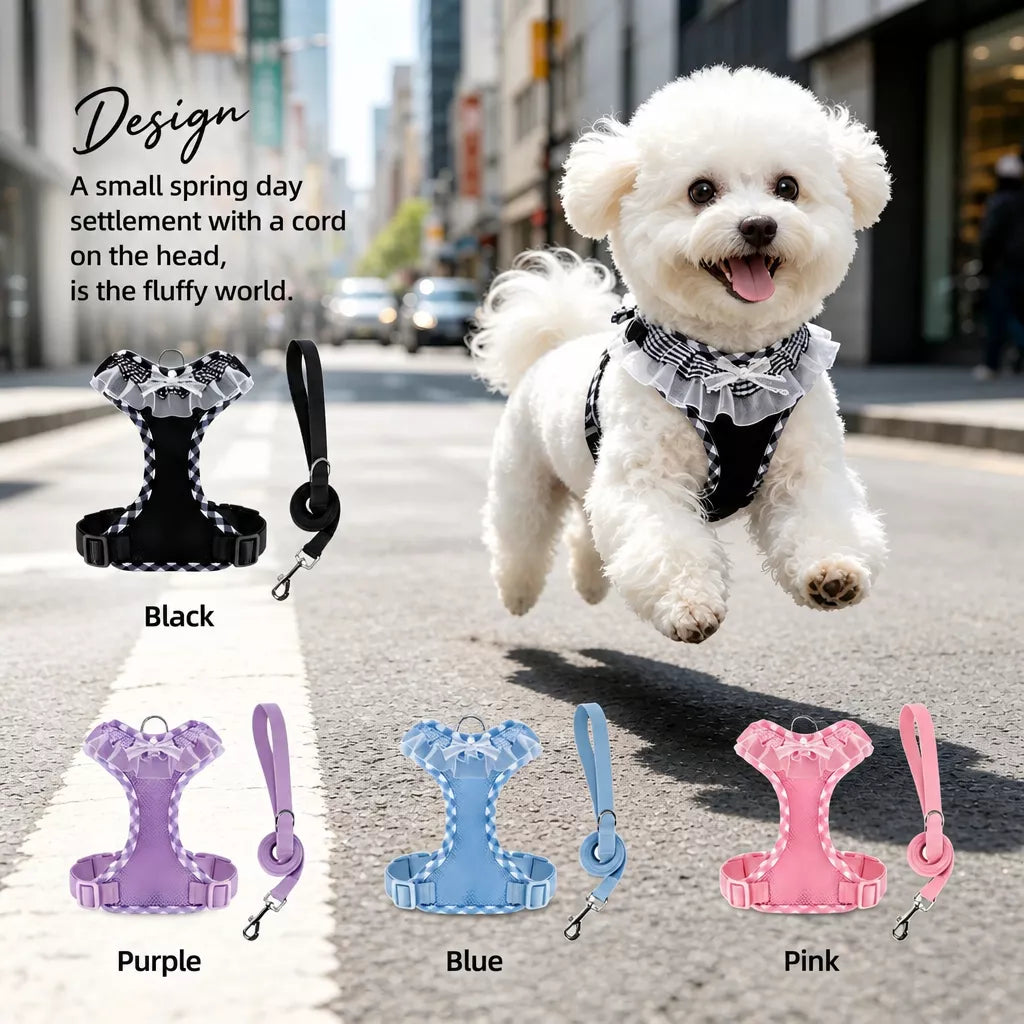 Dog Harness with 6.6-Ft Leash