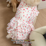 Lightweight Spring & Summer Dog Dress