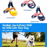 Dog Harness and Leash Set for Small to Medium Dogs