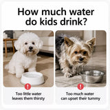 Floating Water Bowl for Cats and Dogs