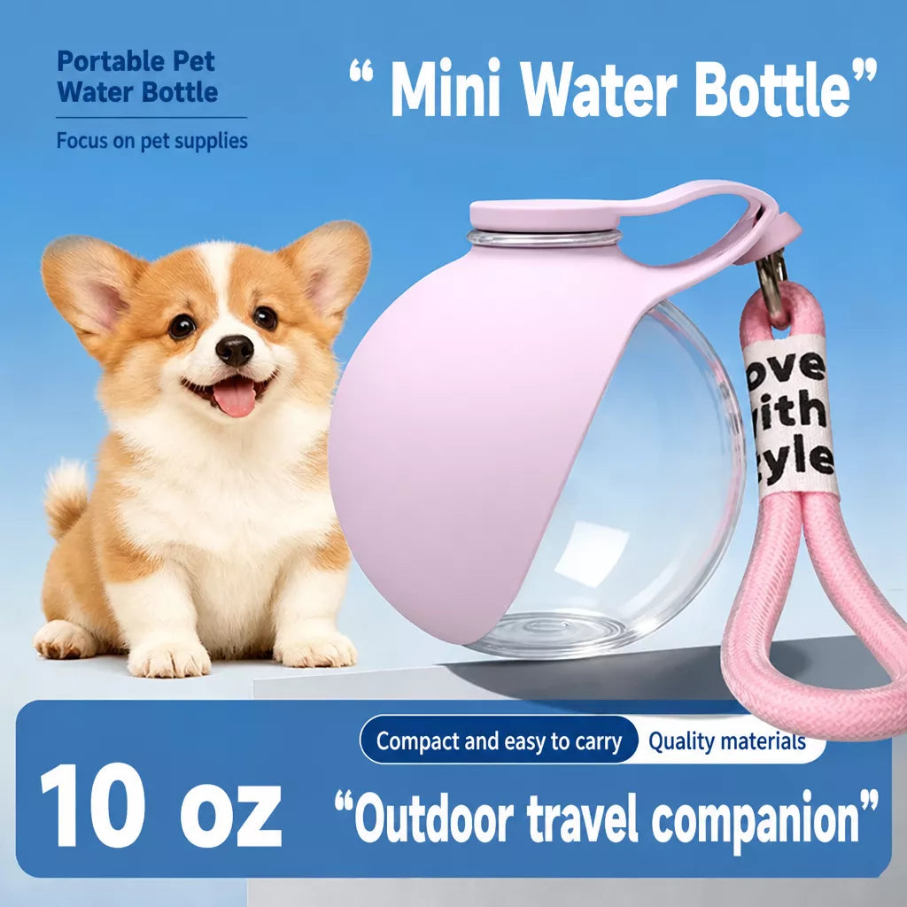 Portable Pet Water Bottle with Foldable Silicone Bowl