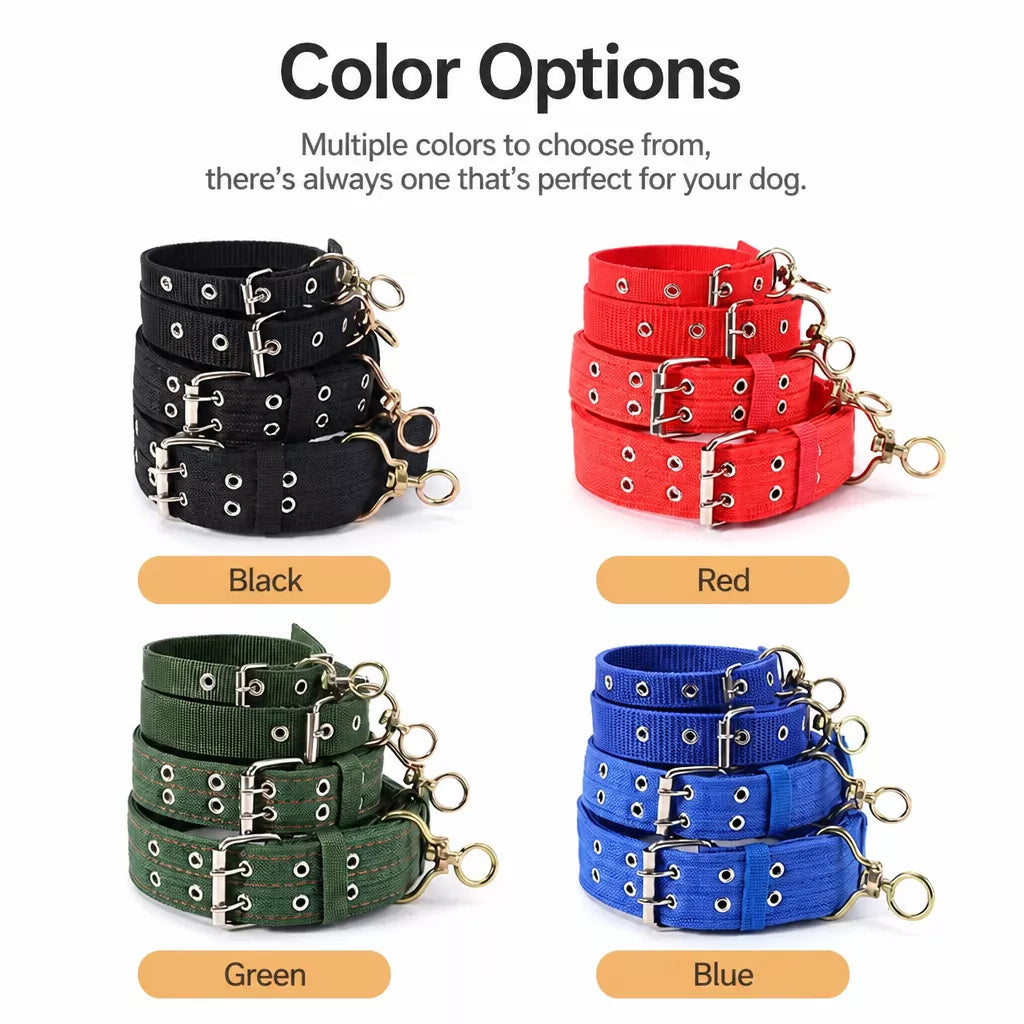 Nylon Dog Collar for Small to Large Dogs