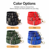 Nylon Dog Collar for Small to Large Dogs