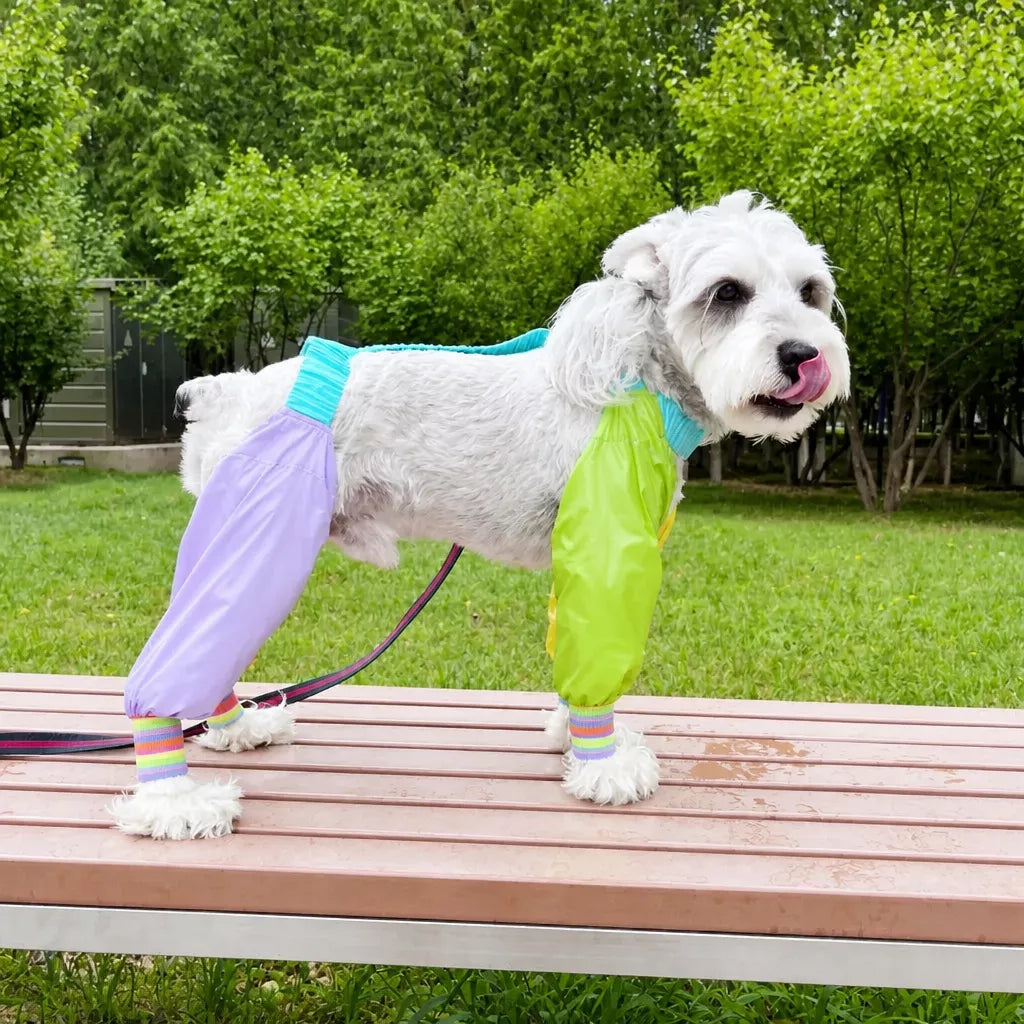 Four-Leg Dog Jumpsuit for Outdoor Wear