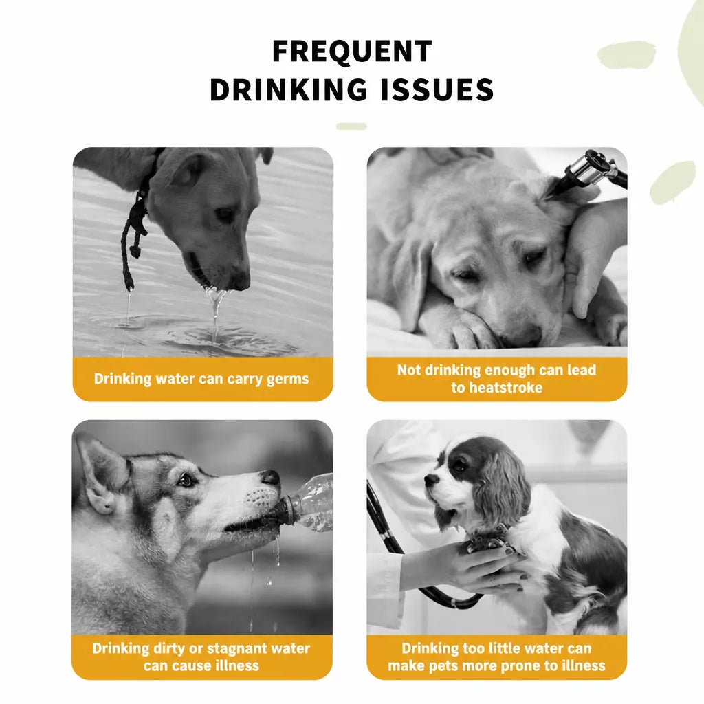 Portable Dog Water Bottle with Built-In Drinking Cup for Walks