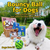 Interactive Squeaky Ball Dog Toy