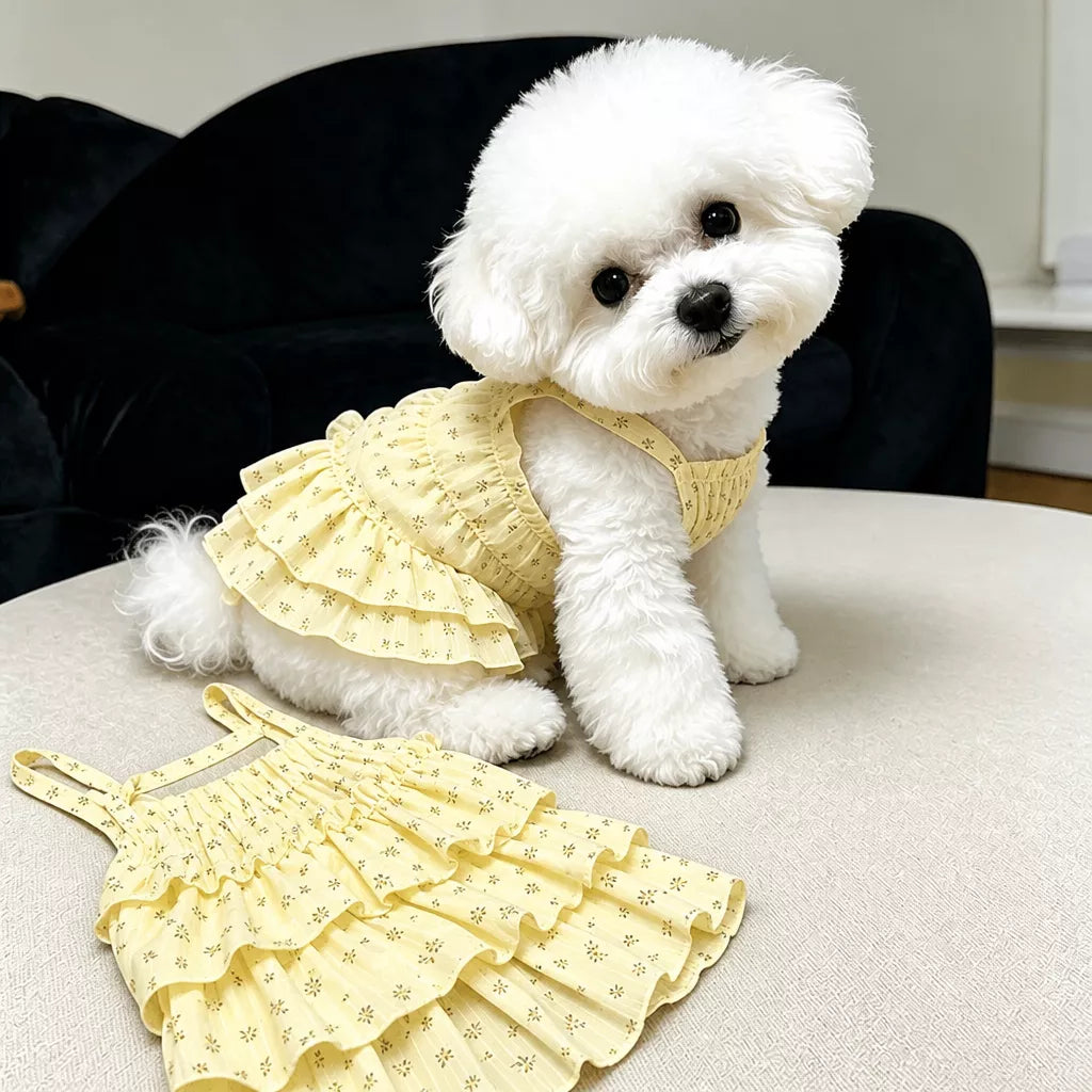 Cotton Pet Dress with Tiered Skirt