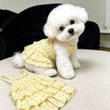 Cotton Pet Dress with Tiered Skirt