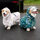 Dog Raincoat for Rainy-Day Walks
